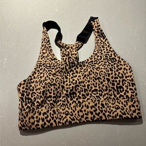 Allfenix sports bra